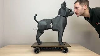Perro robótico autónomo de Maedcore — vídeo de demostración 3
